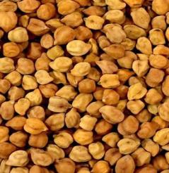 Kabuli & Desi Type Chickpea